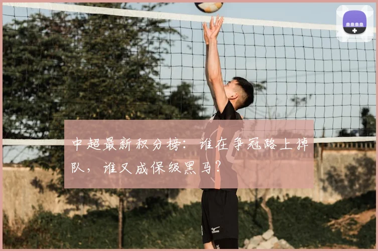 中超最新积分榜：谁在争冠路上掉队，谁又成保级黑马？