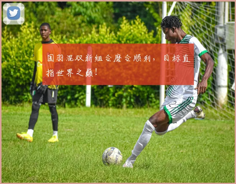 国羽混双新组合磨合顺利，目标直指世界之巅！