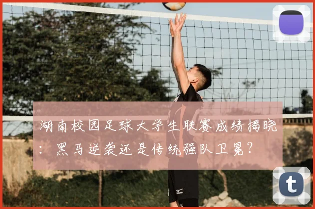 湖南校园足球大学生联赛成绩揭晓：黑马逆袭还是传统强队卫冕？
