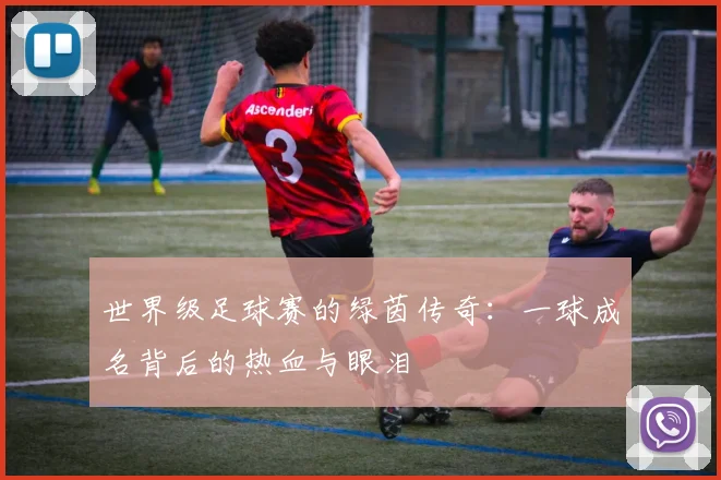 世界级足球赛的绿茵传奇:一球成名背后的热血与眼泪