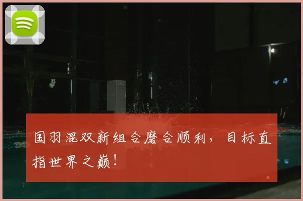 国羽混双新组合磨合顺利，目标直指世界之巅！